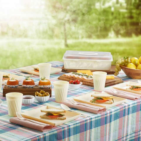 Piknik Seti 22 Parça (4 Kişilik) *8